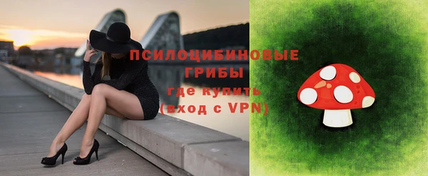 дмт Осташков