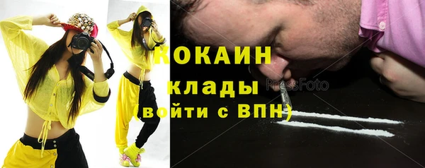 сатива Осинники