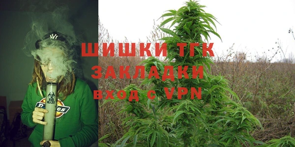 гашик Пересвет