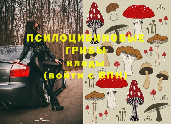 крисы Переславль-Залесский