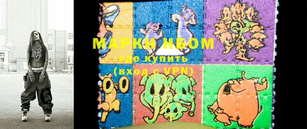 сатива Осинники