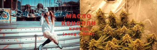 гашик Пересвет