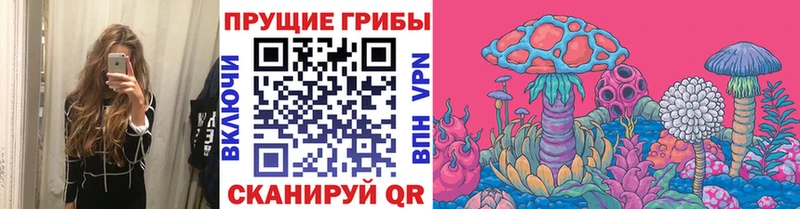 Псилоцибиновые грибы MAGIC MUSHROOMS Электрогорск