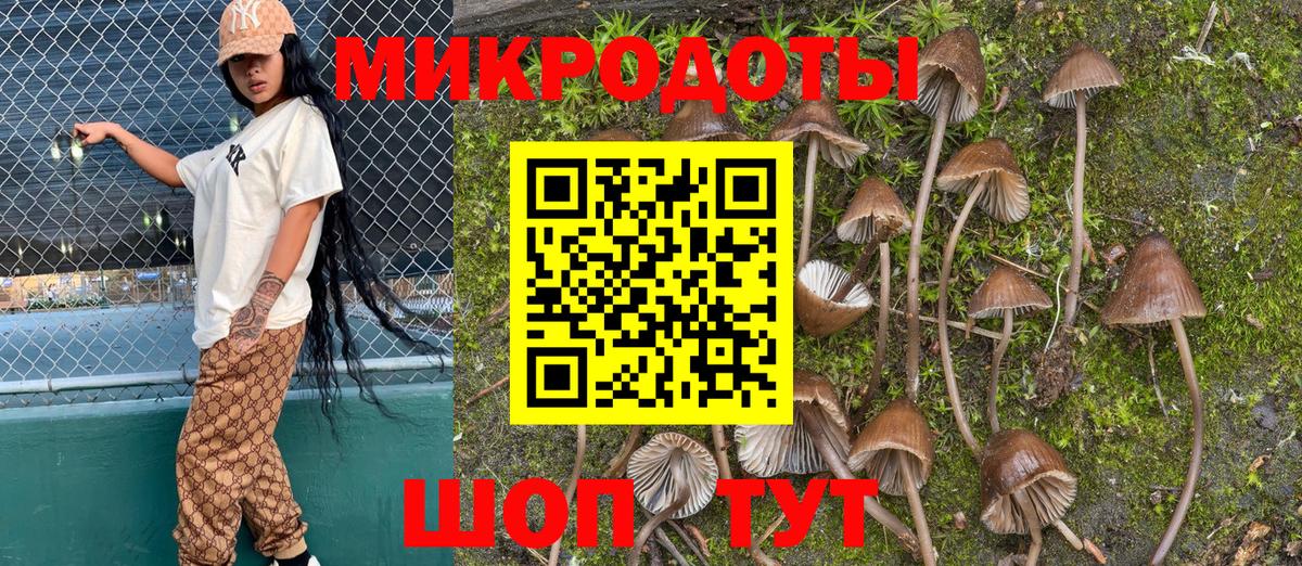 Галлюциногенные грибы ЛСД  Псилоцибиновые грибы Cubensis  закладка  Электрогорск 