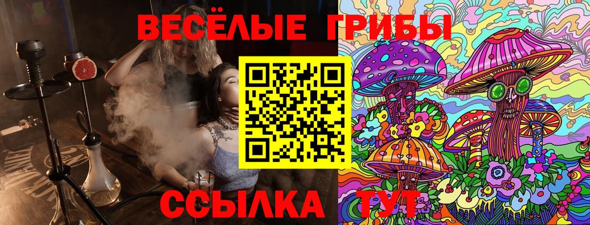Галлюциногенные грибы Электрогорск