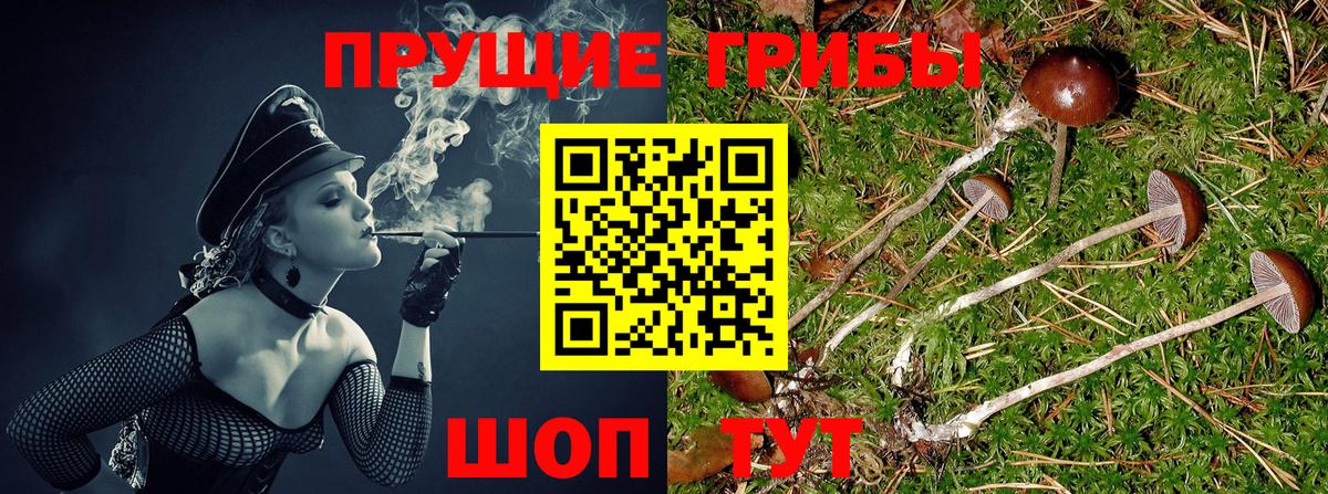 Галлюциногенные грибы MAGIC MUSHROOMS Электрогорск